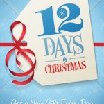 12 days of christmas